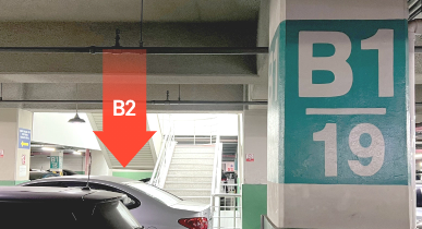 B1 19 기둥 옆에 위치한 계단 이용하여 B2으로 내려가세요. (B1 38 기둥 옆 엘리베이터 이용 가능합니다.)